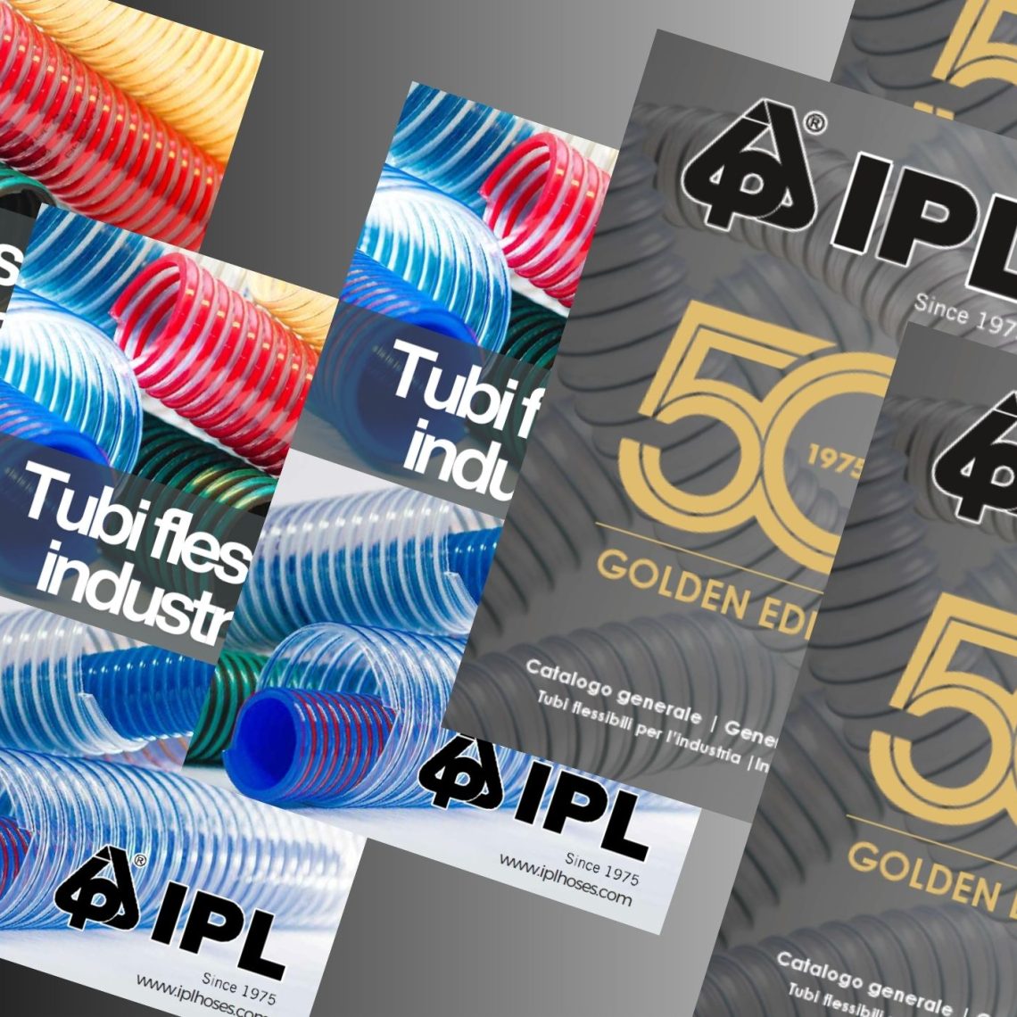 Ipl Brochure Example NEW IPL CATALOGUE | IPL